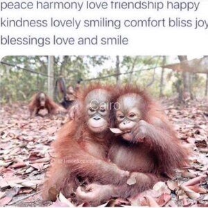 Meet your Posher, Reese